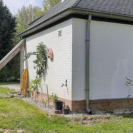 Vrijstaande Recreatievilla Met Ruime Omheinde Tuin Posterholt ภายนอก รูปภาพ