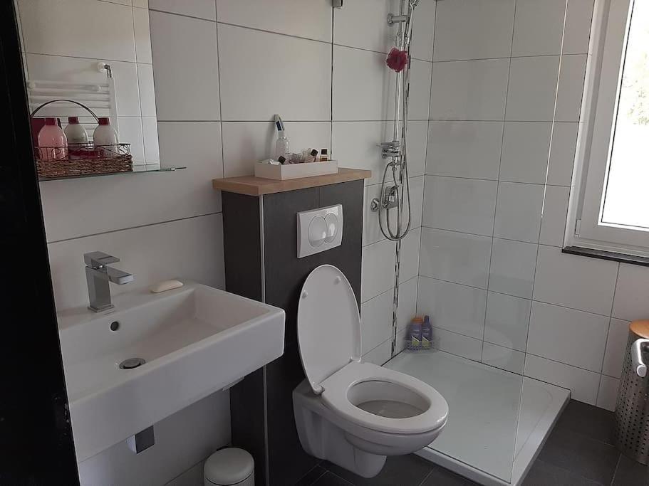 Vrijstaande Recreatievilla Met Ruime Omheinde Tuin Posterholt ภายนอก รูปภาพ